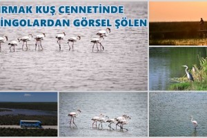 Kızılırmak Deltası Kuş Cenneti’nde Bahar Coşkusu Yaşanıyor
